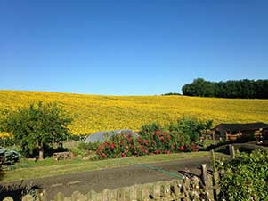 The views from the gites at Peyrenegre in the Lot-et-Garonne